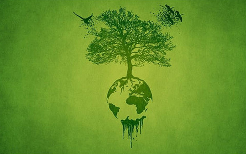 Nourish Our Earth September Newsletter